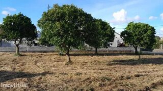 Land for sale in Montemor-o-Velho, Portugal — €23,000