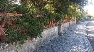 Land for sale in Cantanhede, Portugal — €220,000