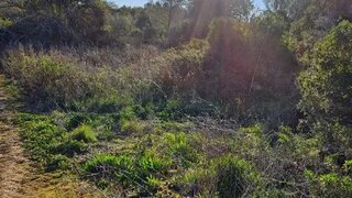 Terreno em Azambuja
