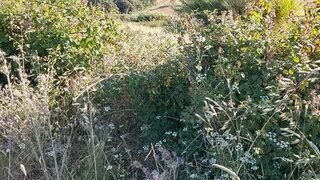 Land for sale in Sobral de Monte Agraço, Portugal — €200,000