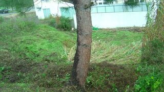 Terreno em Lisboa