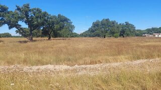 Land for sale in Grândola, Portugal — €139,000