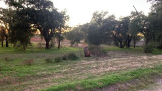 Terreno em Montijo