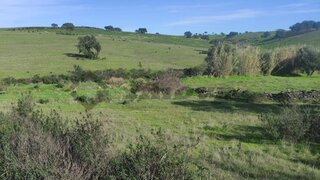 Terreno em Almodôvar