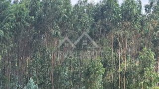 Land for sale in Torres Vedras, Portugal — €34,900