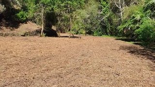 Land for sale in Arganil, Portugal — €18,500