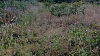 Land for sale in Sintra, Portugal — €195,000