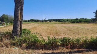Land for sale in Cantanhede, Portugal — €55,000