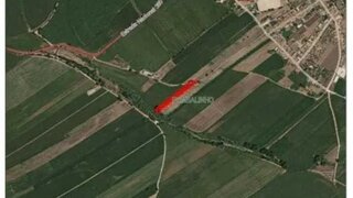 Terreno em Golegã