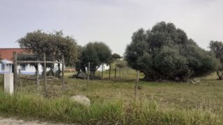 Terreno em Évora