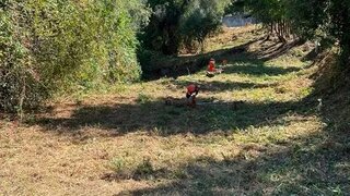 Land for sale in Miranda do Corvo, Portugal — €50,000