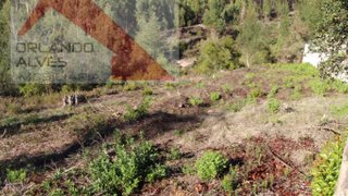 Terreno de 1375 m² em Coimbra