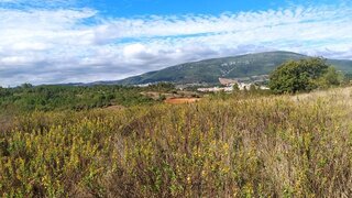 Terreno · 2900 m² · 9000 €