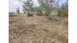Land for sale in Arganil, Portugal — €37,500