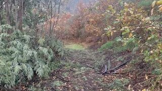 Terreno · 8000 m² · 11 250 €