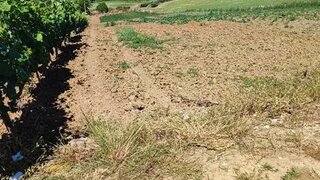 Land for sale in Alenquer, Portugal — €45,000