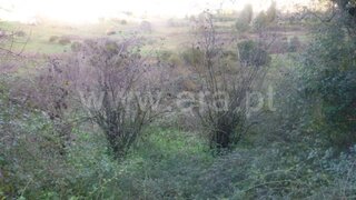 Terreno em Coimbra · 2092 m² · 45 000 €