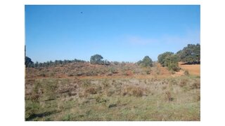 Land for sale in Santiago do Cacém, Portugal — €170,000