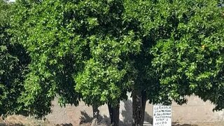 Land for sale in Grândola, Portugal — €110,000