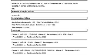 Terreno em Montemor-o-Novo