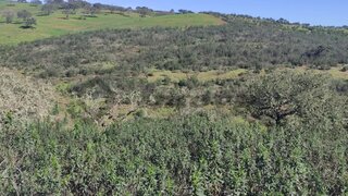 Land for sale in Almodôvar, Portugal — €8,000