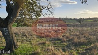 Land for sale in Reguengos de Monsaraz, Portugal — €235,000