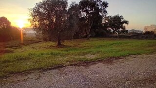 Land for sale in Oliveira do Bairro, Portugal — €50,000
