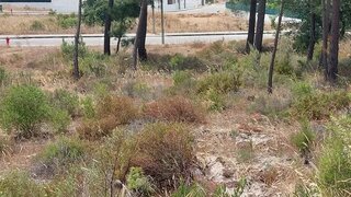 Land for sale in Palmela, Portugal — €110,000