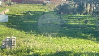Land for sale in Cadaval, Portugal — €35,000