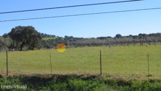Terreno em Alcácer do Sal · 9070 m² · 40 000 €