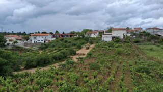 Terreno de 16 678 m² em Coimbra