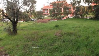 Land for sale in Montemor-o-Velho, Portugal — €100,000