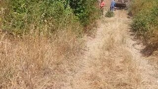 Terreno em Santiago do Cacém