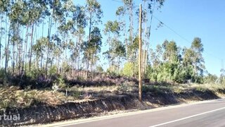 Land for sale in Cantanhede, Portugal — €75,000