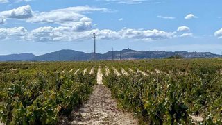Land for sale in Palmela, Portugal — €191,999