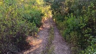 Land for sale in Santiago do Cacém, Portugal — €375,000