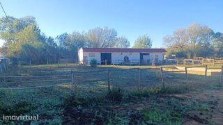 Land for sale in Coimbra, Portugal — €300,000