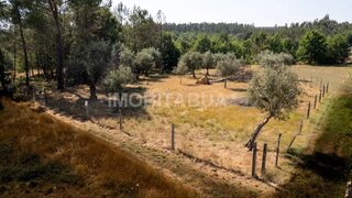 Land for sale in Tábua, Portugal — €9,950