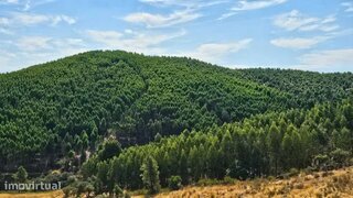 Land for sale in Nisa, Portugal — €270,000
