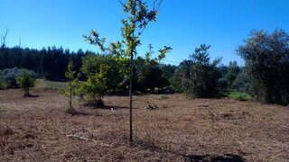 Land for sale in Oliveira do Hospital, Portugal — €57,500