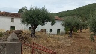 Terreno em Portalegre · 23 000 m² · 99 000 €