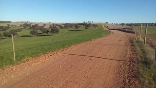 Terreno de 1 360 000 m² em Beja