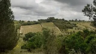 Terreno de 1164 m² em Sintra