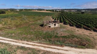 Land for sale in Torres Vedras, Portugal — €60,000