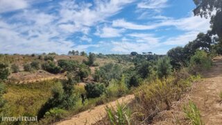 Land for sale in Azambuja, Portugal — €55,000