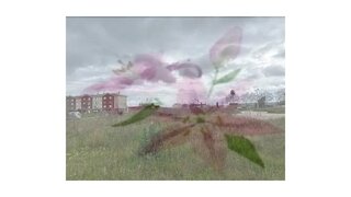 Land for sale in Montijo, Portugal — €3,600,000