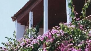 Land for sale in Tábua, Portugal — €40,000