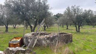 Land for sale in Elvas, Portugal — €26,000