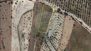 Land for sale in Nisa, Portugal — €15,000