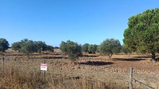 Terreno · 30 000 m² · 25 000 €